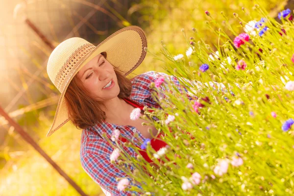 Mujer madura jardinería en su patio trasero — Foto de Stock