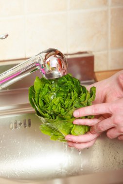 Taze sebze yıkayan adam.