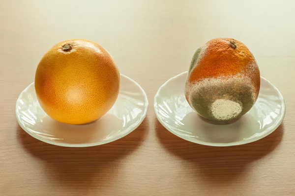 Reife und verschimmelte Grapefruit. — Stockfoto