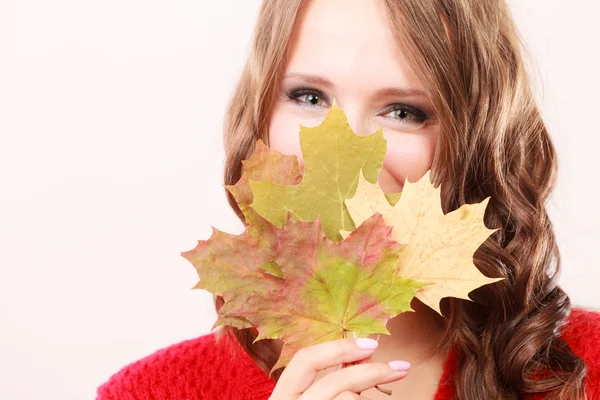 Fashion autumnal girl with maple leaves in hand Stock Image