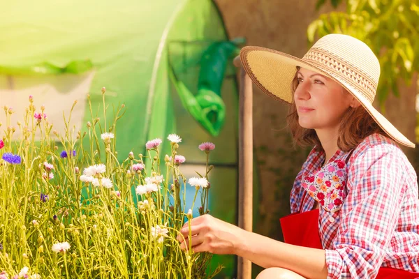 Mujer madura jardinería en su patio trasero — Foto de Stock