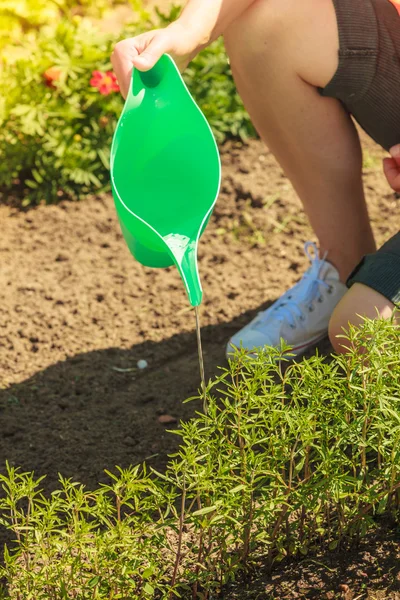 Woman watering plants in garden — Stock Photo, Image