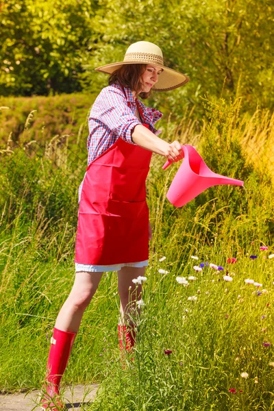 花园浇灌植物的女人 — 图库照片
