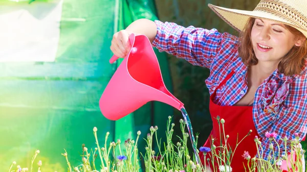 Mujer regando flores en el jardín — Foto de Stock