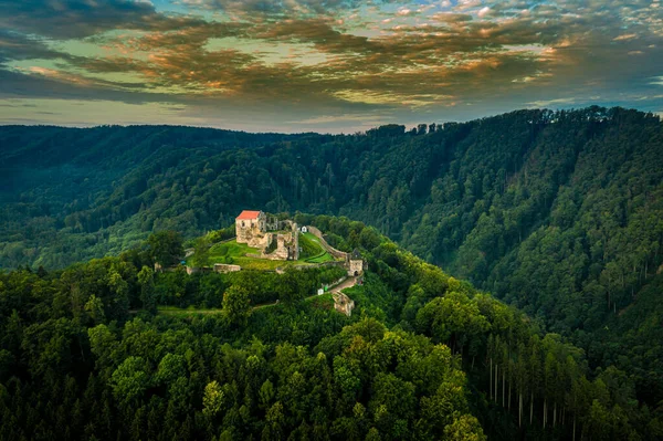 Vaste Rovine Del Castello Potstejn Trovano Una Collina Conica Boscosa — Foto Stock