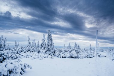 Krokonose dağları kuzeydoğu Bohemya 'da ve Silezya' nın Polonya 'nın güneyinde yer alır. Dev Dağlar 'daki en yüksek dağ ve Çek Cumhuriyeti' nin tamamı Snezka 1603 metredir..