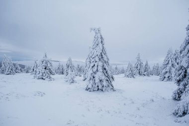 Krokonose dağları kuzeydoğu Bohemya 'da ve Silezya' nın Polonya 'nın güneyinde yer alır. Dev Dağlar 'daki en yüksek dağ ve Çek Cumhuriyeti' nin tamamı Snezka 1603 metredir..