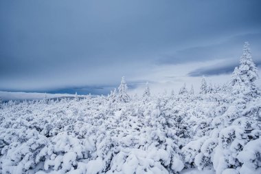 Krokonose dağları kuzeydoğu Bohemya 'da ve Silezya' nın Polonya 'nın güneyinde yer alır. Dev Dağlar 'daki en yüksek dağ ve Çek Cumhuriyeti' nin tamamı Snezka 1603 metredir..