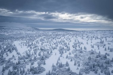 Krokonose dağları kuzeydoğu Bohemya 'da ve Silezya' nın Polonya 'nın güneyinde yer alır. Dev Dağlar 'daki en yüksek dağ ve Çek Cumhuriyeti' nin tamamı Snezka 1603 metredir..