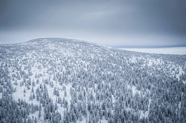 산맥은 보헤미아 북동부와 슐레지엔의 폴란드 남부에 자이언트 산맥에서 공화국 전체가 — 스톡 사진
