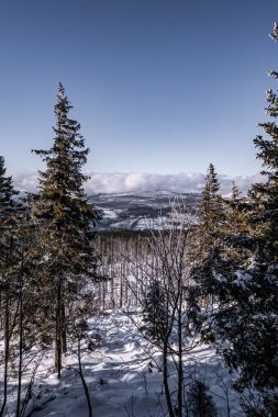 Sumava Ulusal Parkı, Çek Cumhuriyeti 'nin dört ulusal parkından biridir. İki güney bölgesinde yer alır ve Çek Cumhuriyeti ile Avusturya arasında doğal bir sınır oluşturur..