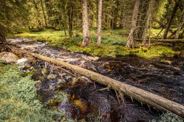 Modrava, Kasperske Hory 'un 13 km güneybatısındaki Klatovy ilçesine bağlı Sumava Ulusal Parkı' nda bir köydür.