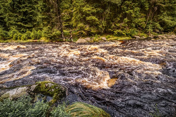 Modrava Uma Vila Parque Nacional Sumava Distrito Klatovy Sudoeste Kasperske Imagem De Stock