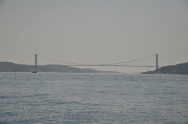 Natürmort ile Türk sürahi