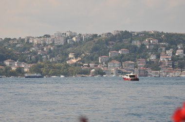 Natürmort ile Türk sürahi