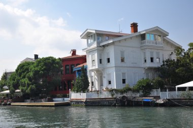 Natürmort ile Türk sürahi