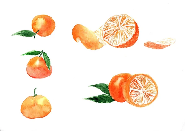 Mandarines red watercolor isolated — Stock Photo, Image