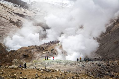 A group of tourists climbed the Mutnovsky volcano. There are smoking fumaroles in the frame.