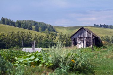 Köyde eski bir hamamı olan bir sebze bahçesi.