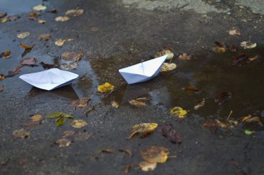 Beyaz kağıt tekneler sonbahar yapraklarıyla bir su birikintisinde yüzerler.