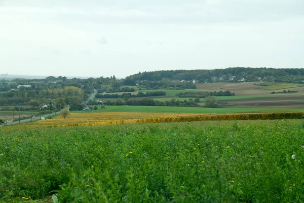 Landskap Med Fält Och Hus — Stockfoto