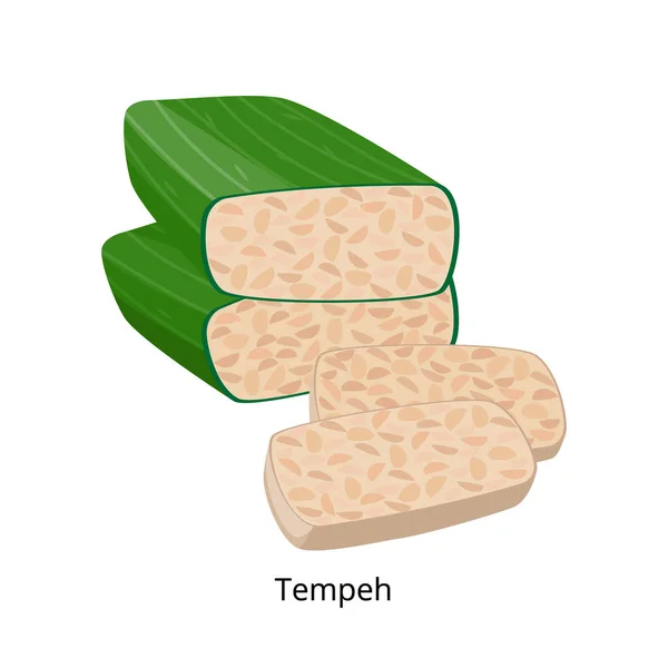 Tempeh é envolto em folhas de banana - Produto de soja - ilustração vetorial isolada sobre fundo branco. — Vetor de Stock