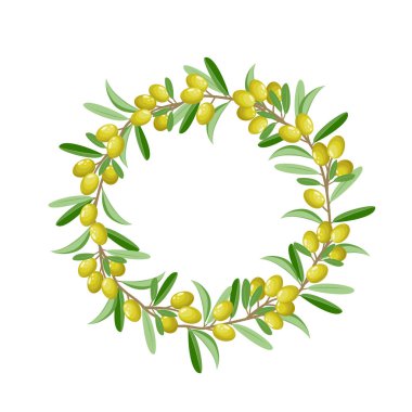 Zeytin çelengi, beyaz arka planda izole edilmiş zeytin dalı, kotinoların vektör çizimi. Yeşil zeytin çelengi üst görünüm.