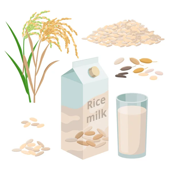 Rijst melk pakket en glas rijst plantaardige melk, stapel rijstkorrels en plant. Set vector illustraties geïsoleerd op witte achtergrond. — Stockvector