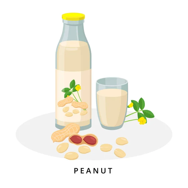 Pindamelk in kruik en glas. Plantaardige melk, veganistisch melkconcept. Vector illustratie geïsoleerd op witte achtergrond. Alternatieve melk en ingrediënten. — Stockvector