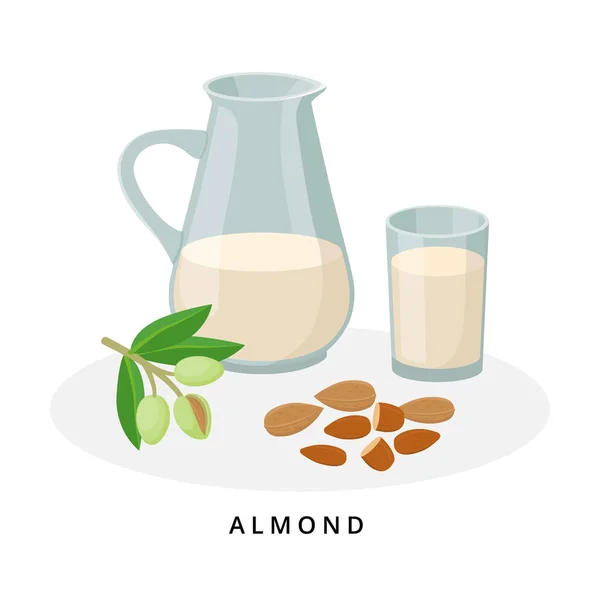 Almond milk in jug and glass. Plant milk, vegan milk concept. Vector illustration isolated on white background. Alternative milk and ingredients. — 스톡 벡터