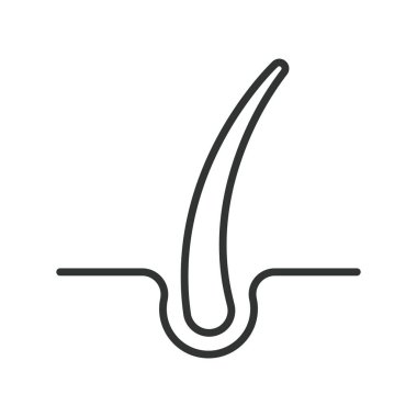 Sıra dizaynında saç kökü simgesi. Beyaz arka plan vektöründe deri ve saç yapısı. Folikül düzenlenebilir vuruş simgesi