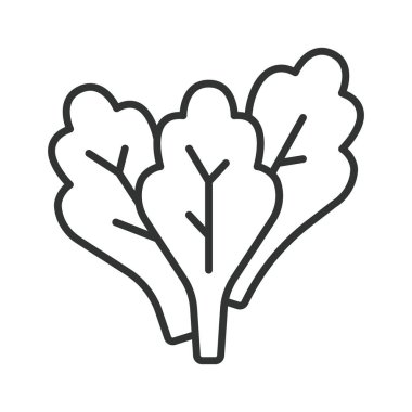 Sırada ıspanak simgesi var. Ispanak yaprağı sebze yiyeceği taze organik sağlıklı salata malzemesi tarım pazarı vejetaryen gıdası beyaz arka plan vektörü. ıspanak düzenlenebilir vuruş simgesi