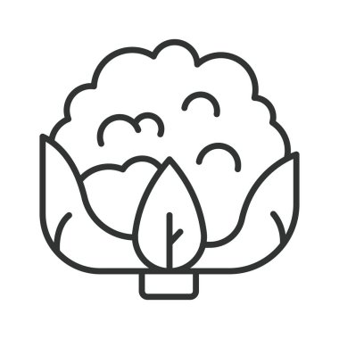 Karnabahar tasarımı. Karnabahar sebzesi taze organik sağlıklı pişirme malzemeleri tarım pazarı vejetaryen gıdası beyaz arka plan vektörü. Karnabahar düzenlenebilir vuruş simgesi