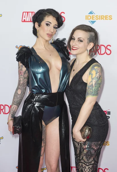 2016 Avn Awards — Stockfoto