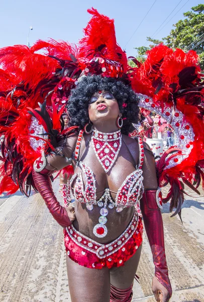 Barranquilla Carnival 2016 — Stockfoto