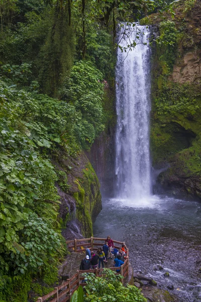 コスタリカ ラパス滝 — ストック写真
