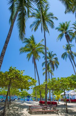 Tortuga Adası, Kosta Rika