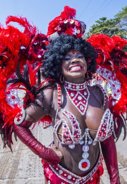 2016 Barranquilla karnaval