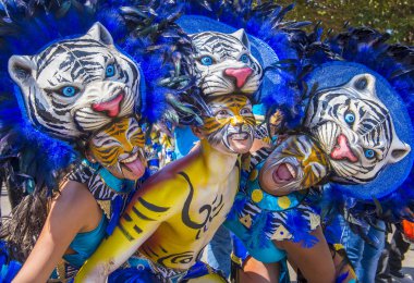 2016 Barranquilla karnaval