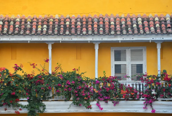 Cartagena de Indias — Stock fotografie