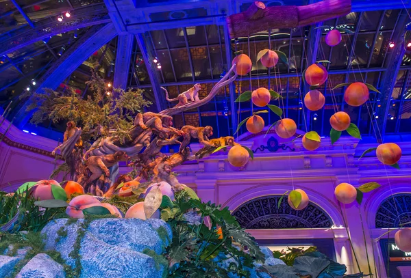 Bellagio Hotel Conservatory & Botanical Gardens — Stock Photo, Image