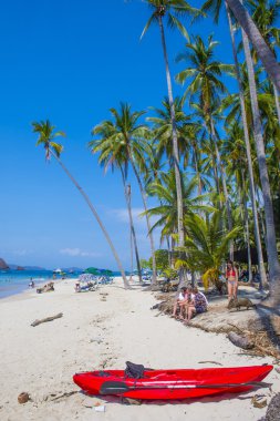 Tortuga Adası, Kosta Rika