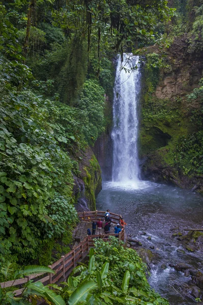 Cascada costarricense La Paz —  Fotos de Stock