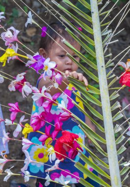 Çiçek ve Palm Festivali Panchimalco, El Salvador
