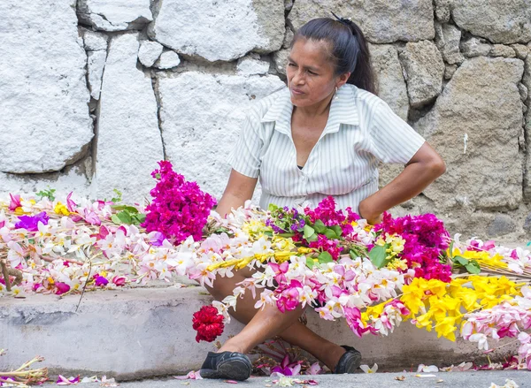 Blumen & Palmen Festival in panchimalco, el salvador — Stockfoto