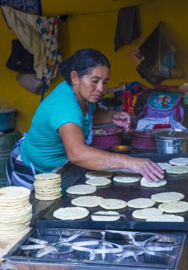 Mısır tortilla hamur fabrika