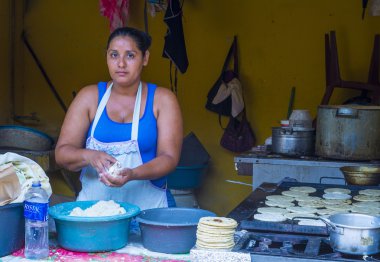 Mısır tortilla hamur fabrika