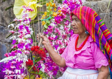 Çiçek ve Palm Festivali Panchimalco, El Salvador