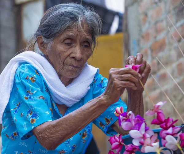 Flower & Palm Festival en Panchimalco, El Salvador — Foto de Stock