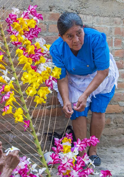 Blumen & Palmen Festival in panchimalco, el salvador — Stockfoto